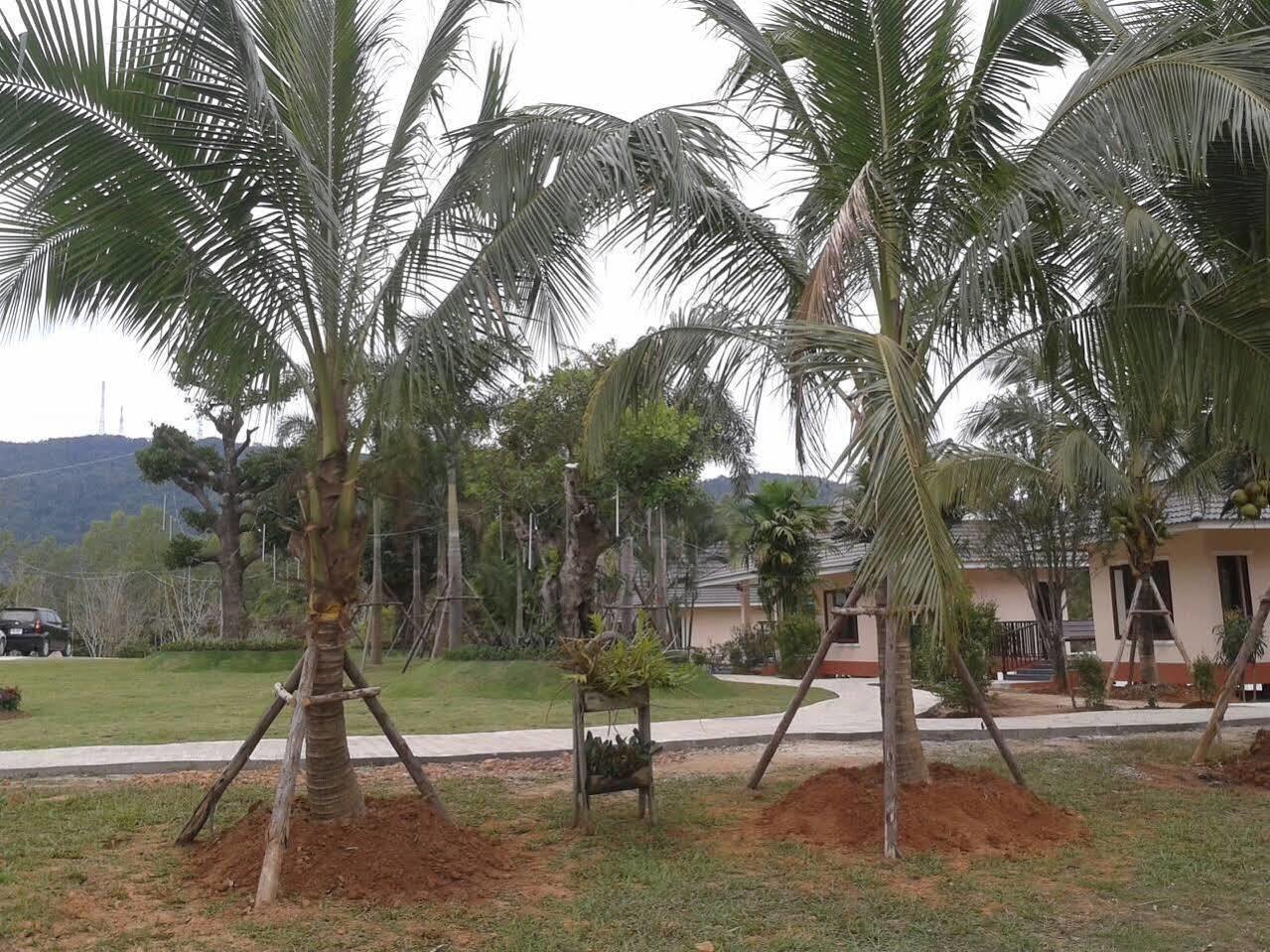 Phutien Resort Chiang Rai Exterior photo